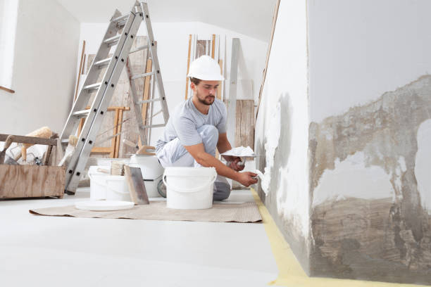 Best Mold-Related Health Consultation  in Kahului, HI