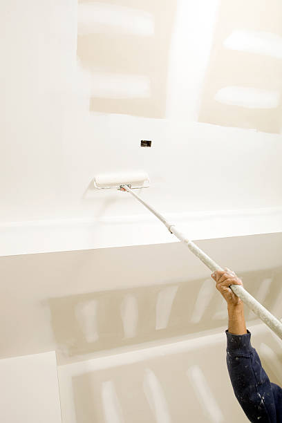 Best Attic Mold Removal  in Kahului, HI