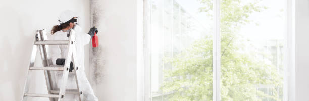 Best Residential Mold Inspection & Testing  in Kahului, HI