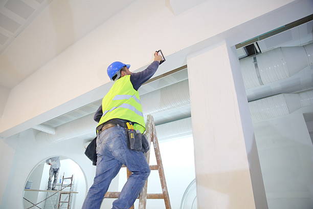 Best Mold Odor Removal Services  in Kahului, HI