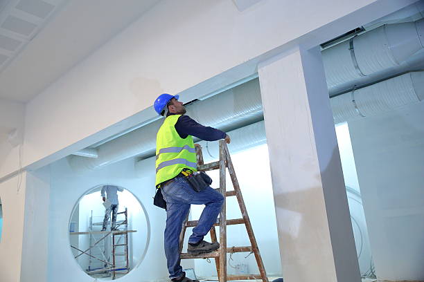 Best Mold Damage Restoration  in Kahului, HI