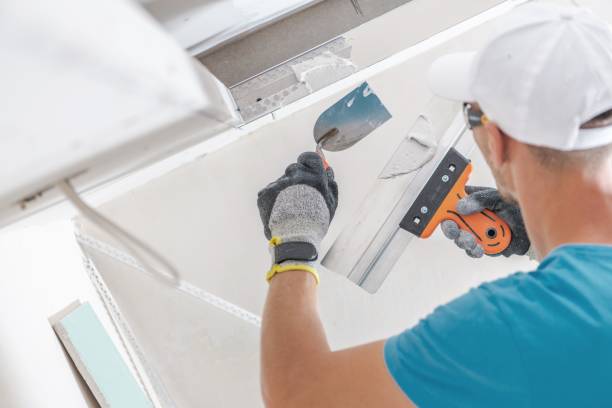 Best Black Mold Removal  in Kahului, HI